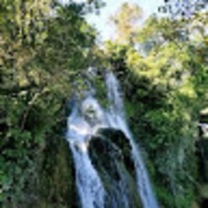 Meet your Posher, Adilene